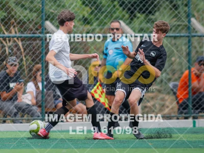 Detalhes da foto #3240561