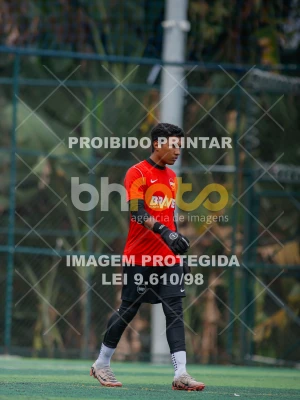 Detalhes da foto #2453882