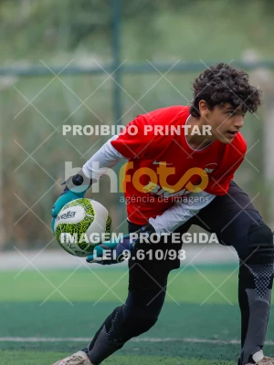 Detalhes da foto #3533116