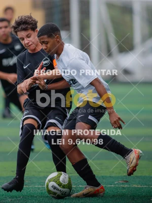 Detalhes da foto #6786597