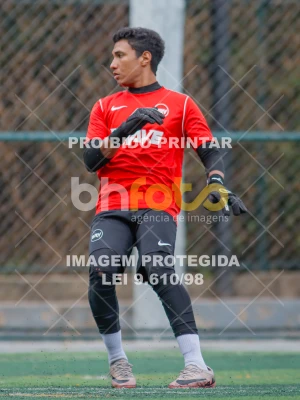 Detalhes da foto #8667809