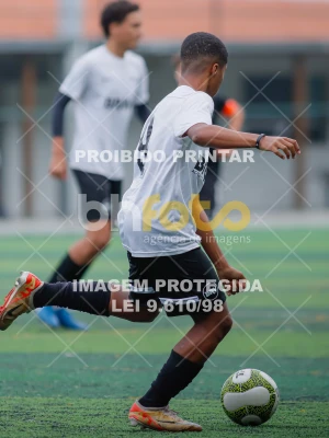 Detalhes da foto #3069491
