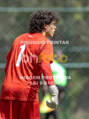 Detalhes da foto #4041454