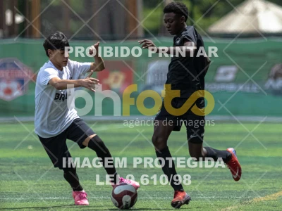 Detalhes da foto #4558175