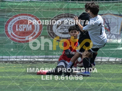 Detalhes da foto #1613778