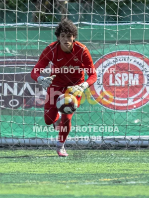 Detalhes da foto #4679747