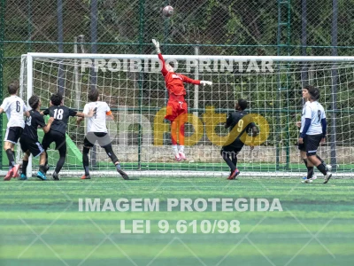 Detalhes da foto #1585889
