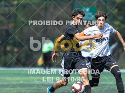 Detalhes da foto #8287513