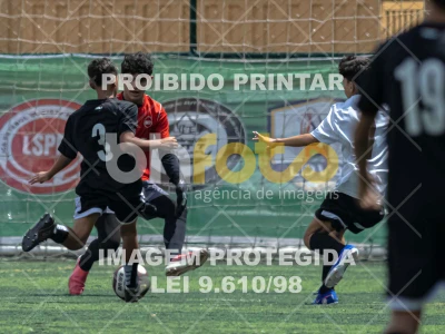 Detalhes da foto #4466742