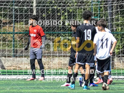 Detalhes da foto #7571510