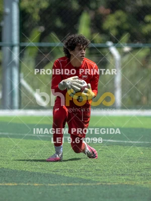 Detalhes da foto #6525274