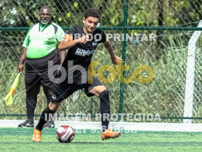 Detalhes da foto #2499365
