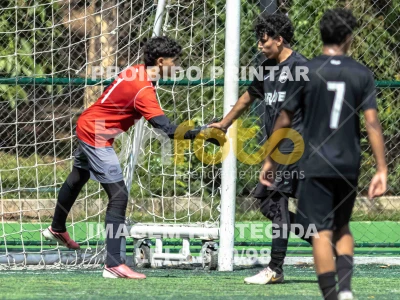 Detalhes da foto #2086342