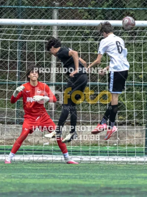 Detalhes da foto #3793553
