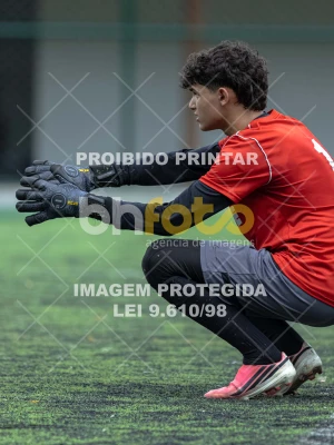 Detalhes da foto #2332250