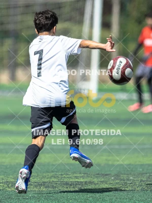 Detalhes da foto #3732281