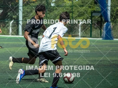 Detalhes da foto #2568621