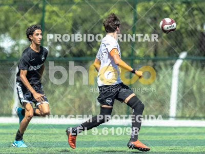 Detalhes da foto #3523948