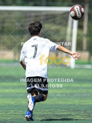 Detalhes da foto #6102466