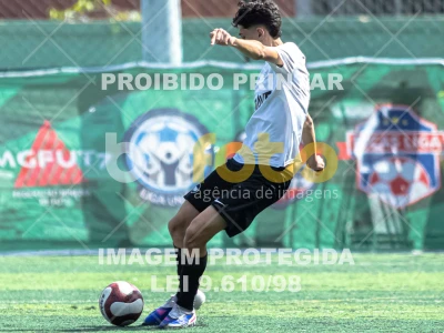 Detalhes da foto #2226562