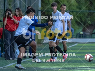 Detalhes da foto #1407558