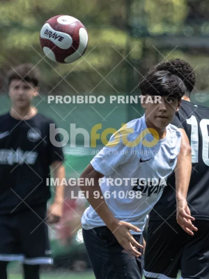 Detalhes da foto #5904112
