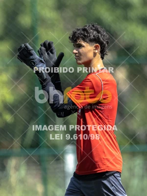 Detalhes da foto #6168159