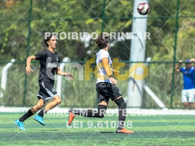Detalhes da foto #4425447