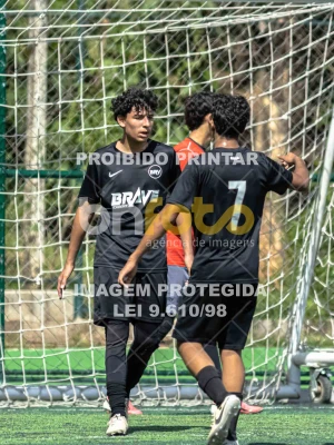 Detalhes da foto #4215144