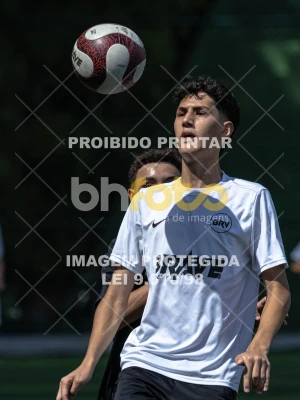 Detalhes da foto #6219428