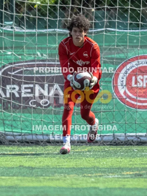 Detalhes da foto #7104041