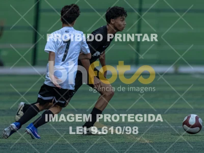 Detalhes da foto #3030599