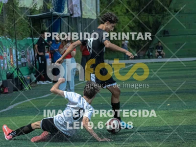 Detalhes da foto #5461564
