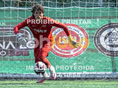 Detalhes da foto #8480179