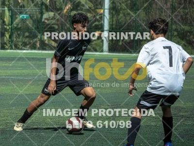 Detalhes da foto #2259014