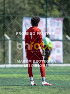 Detalhes da foto #4223202