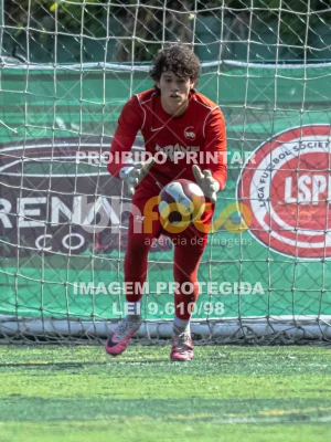Detalhes da foto #6150529