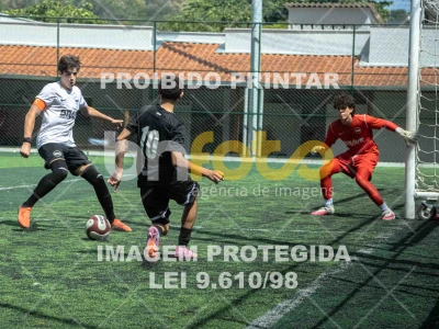 Detalhes da foto #1577314