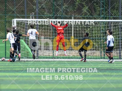 Detalhes da foto #6954069