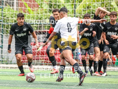 Detalhes da foto #14243