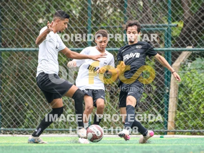 Falcons X Sharks - Brave League