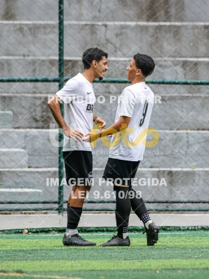 Detalhes da foto #22279