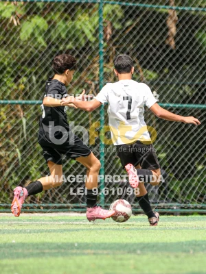 Detalhes da foto #73319