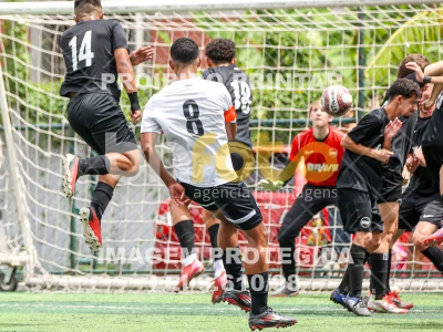 Detalhes da foto #60068