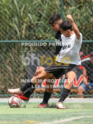 Detalhes da foto #71993