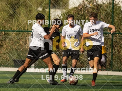 Detalhes da foto #7536109