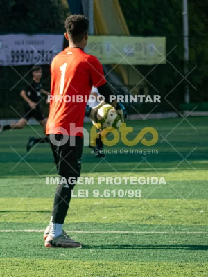 Detalhes da foto #2942892