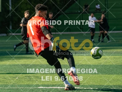 Detalhes da foto #2993946