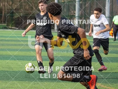 Detalhes da foto #8390755