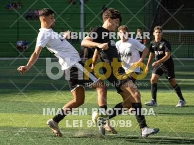 Detalhes da foto #4335090